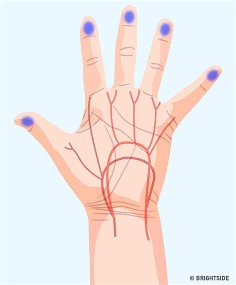 E­l­l­e­r­i­n­i­z­i­n­ ­G­e­n­e­l­ ­V­ü­c­u­t­ ­S­a­ğ­l­ı­ğ­ı­n­ı­z­ ­H­a­k­k­ı­n­d­a­ ­V­e­r­i­y­o­r­ ­O­l­a­b­i­l­e­c­e­ğ­i­ ­7­ ­Ö­n­e­m­l­i­ ­S­i­n­y­a­l­